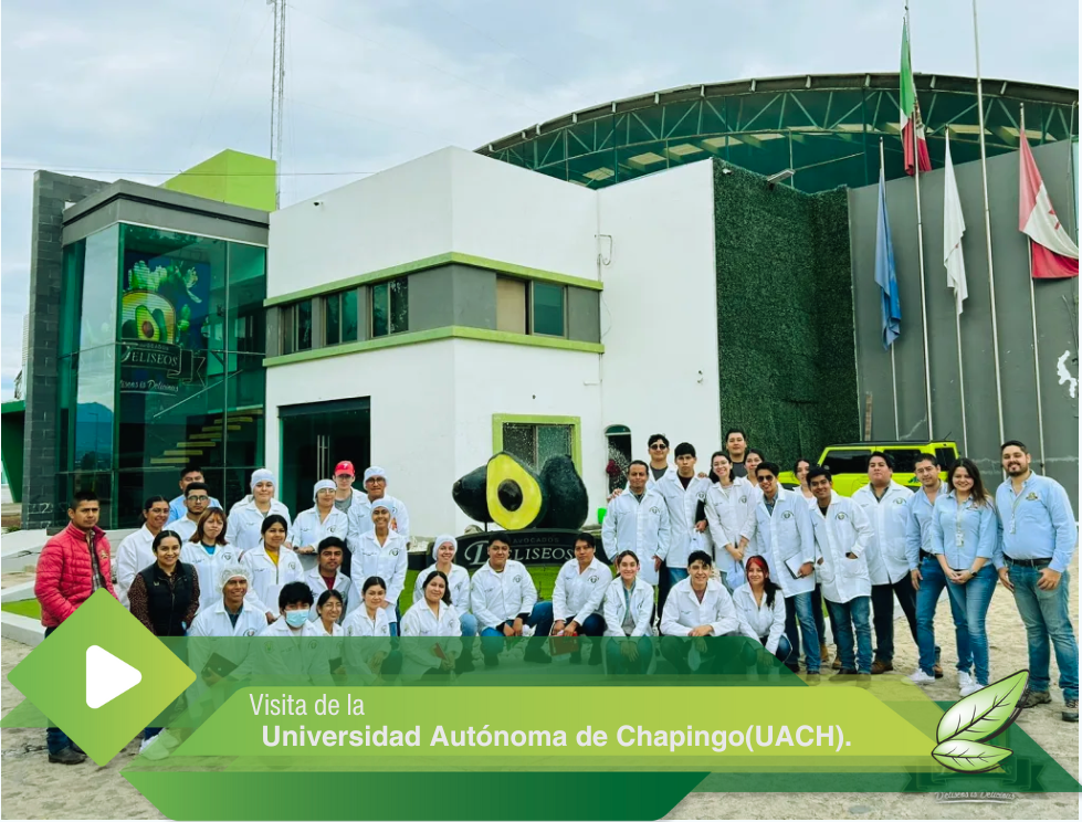Visita de la Universidad Autónoma de Chapingo(UACH).